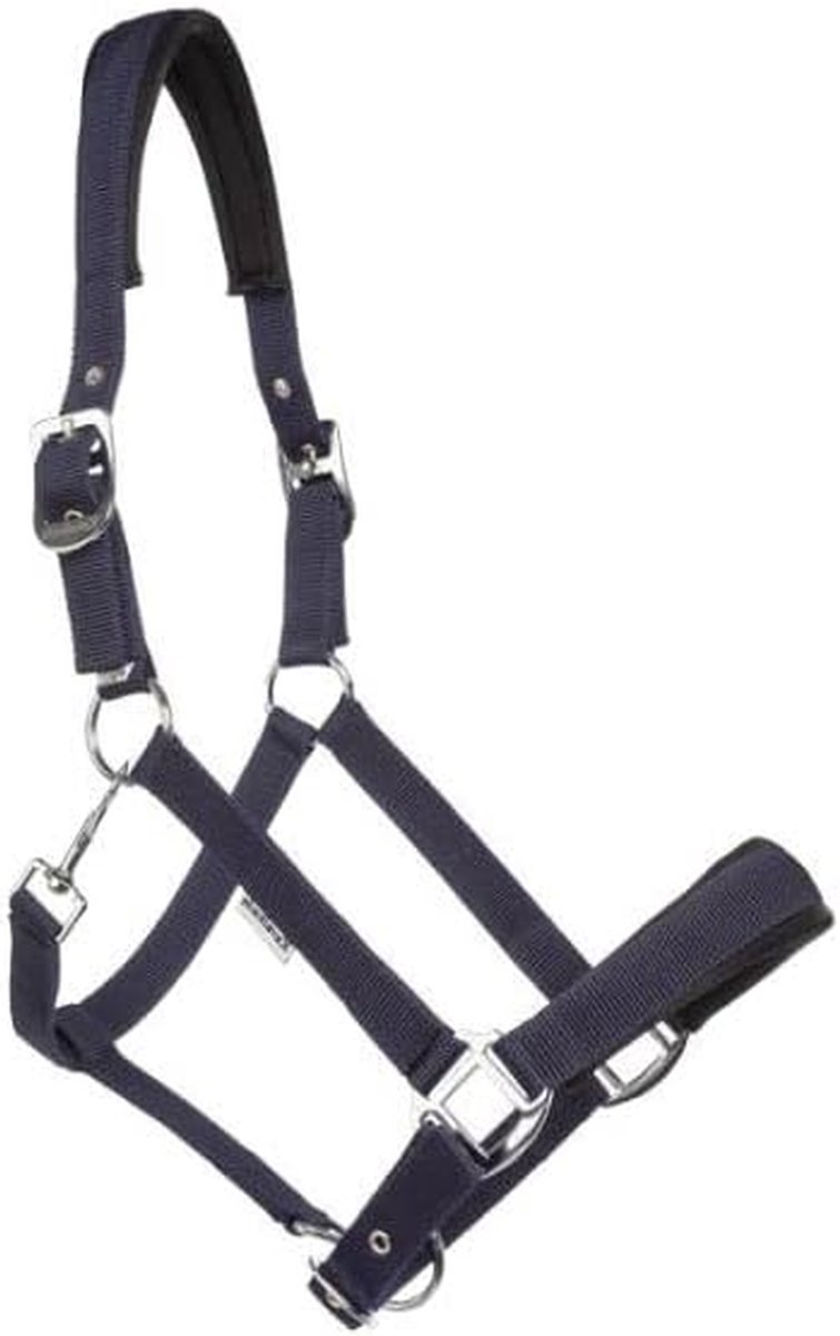 Paardenhalster - Hoofdstel - Paardrijden - Klassiek Design - Standaard - Blauw