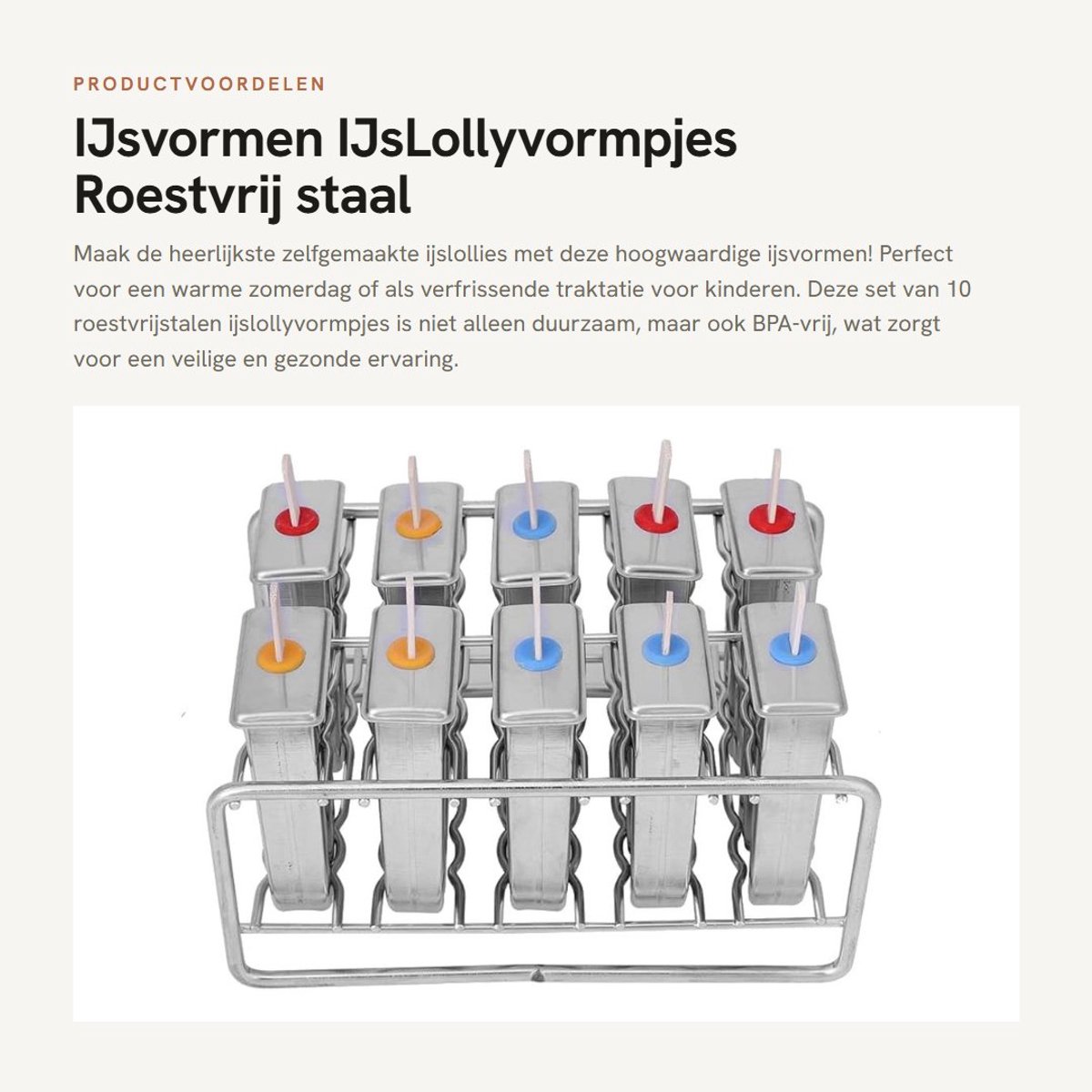 Dailygoods- IJsvormen 10-delige set - IJsjes Vormen - Roestvrij Staal - BPA-vrij - Inclusief 100 Houten Stokjes - Afmetingen 21 x 15 x 9,5 cm - Ijsjesvorm