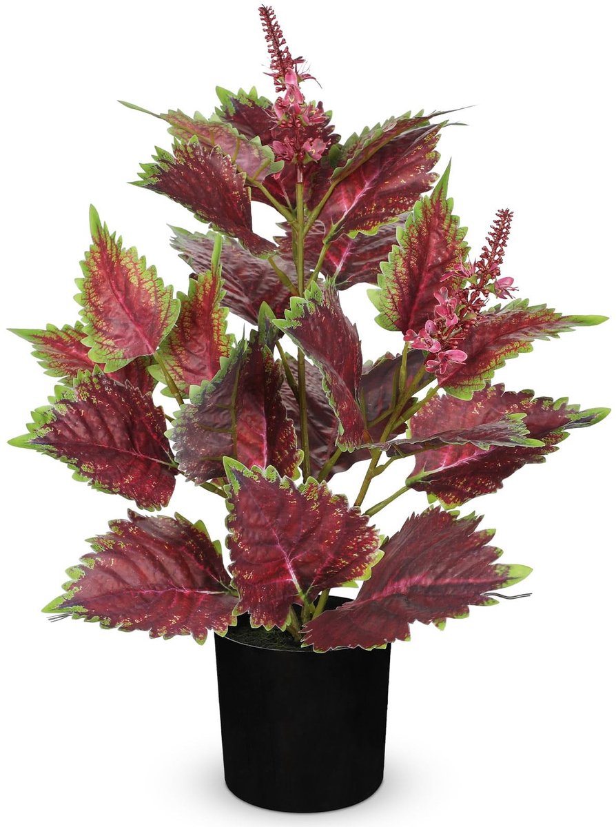 Dailygoods - Oairse Kunstplanten binnen met pot 42,9 cm faux ingemaakte perillaplanten binnen decoratief zijde groen in zwarte pot voor boerderij thuis badkamer woonkamer kantoor tafel plank decor