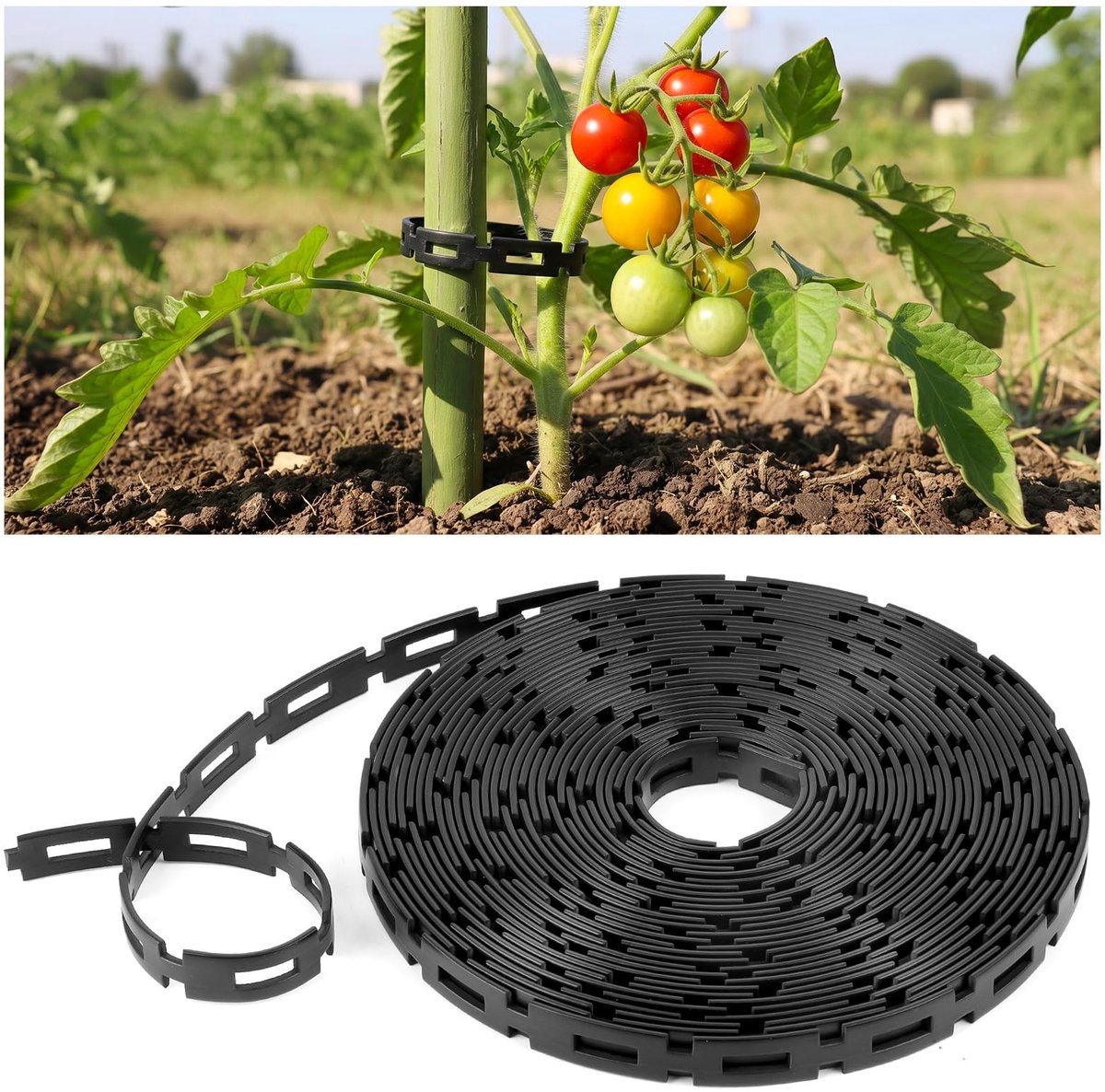 Omgoods - 16ft Boomsteunen, Verstelbare Plant Touwen voor Tuinaccessoires