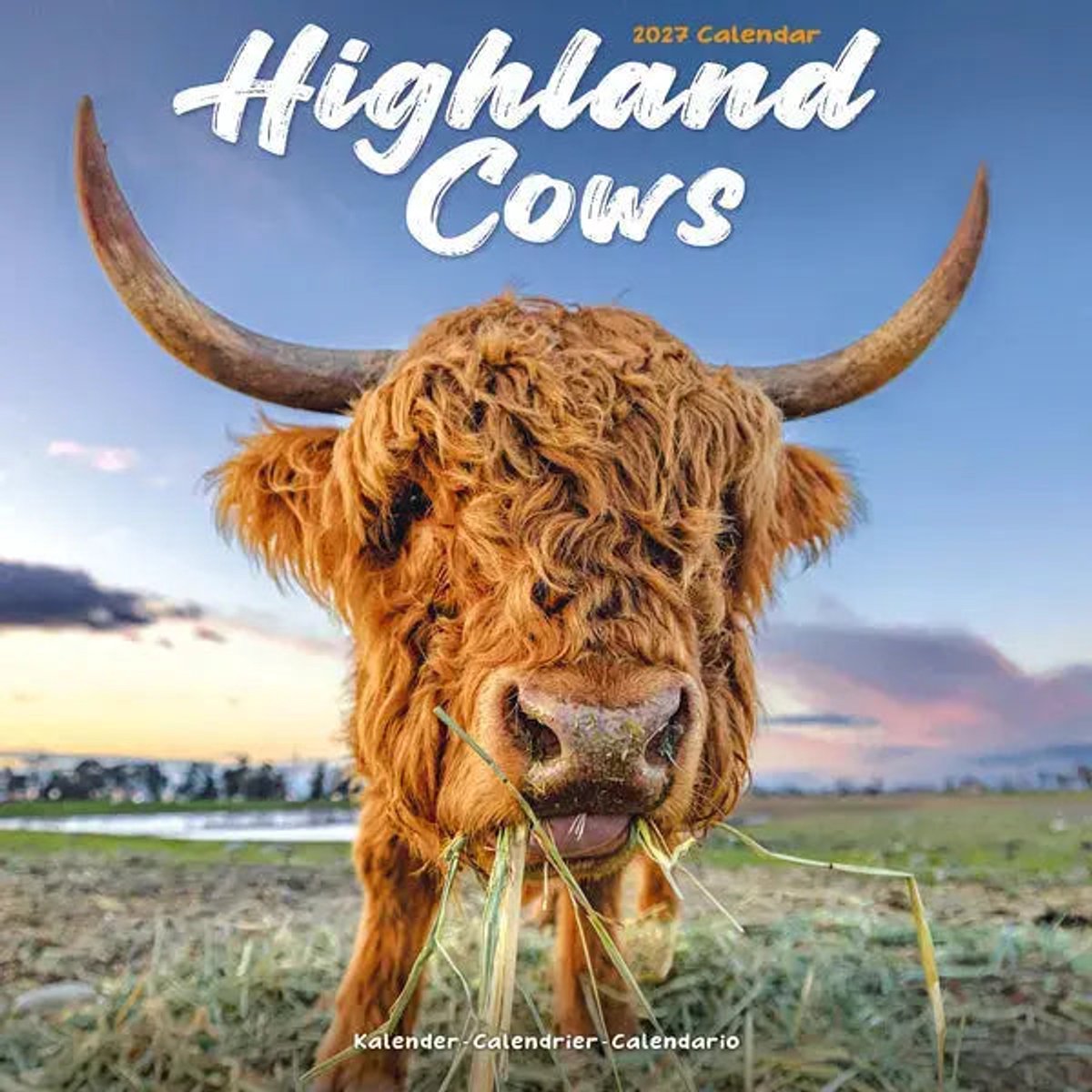Schotse Hooglanders Kalender 2027