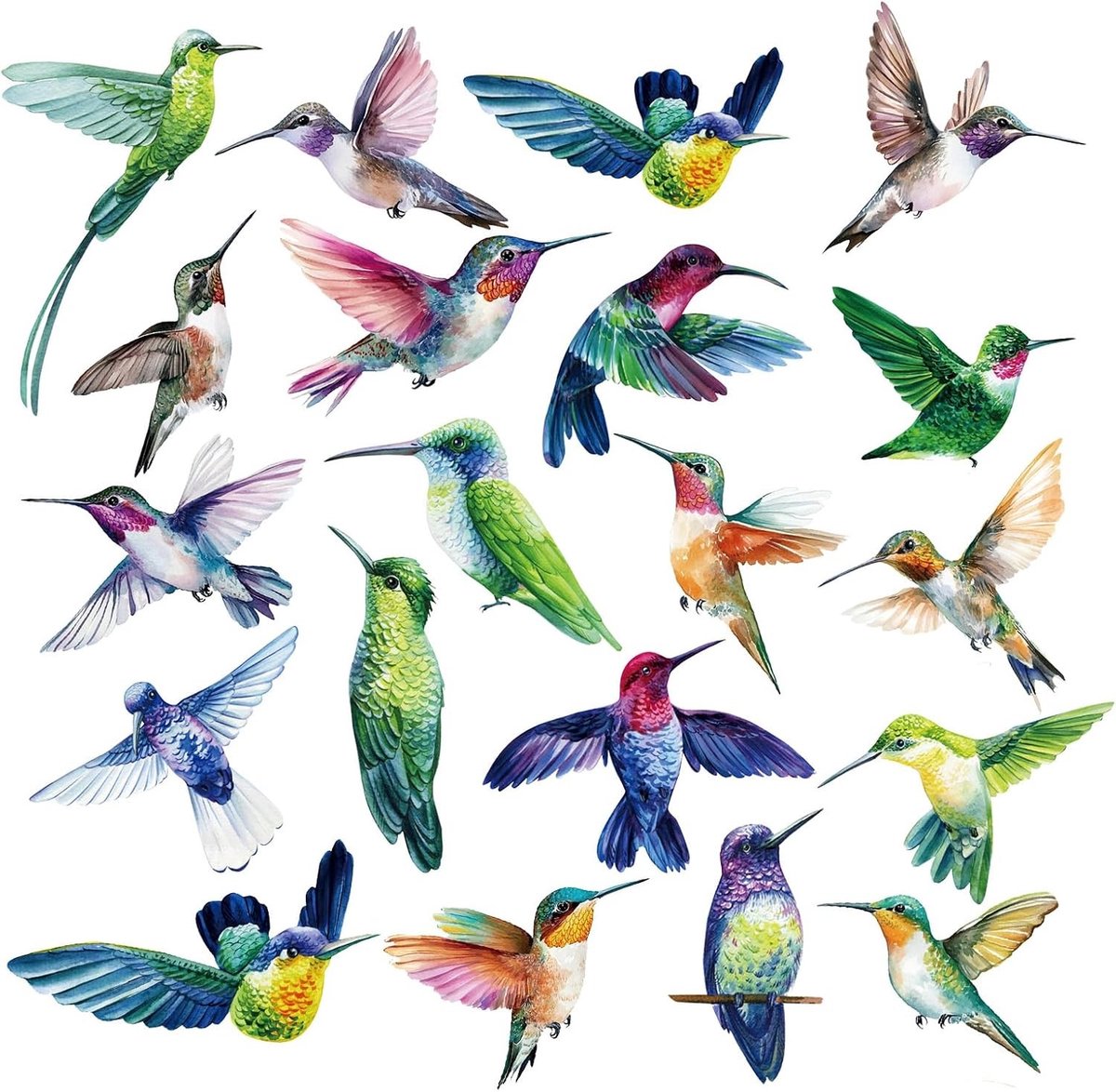 29 stuks anti-botsing raamstickers voor kolibries, beschermende stickers voor glas, voorkomen van vogelbotsingen en veiligheid voor vogels