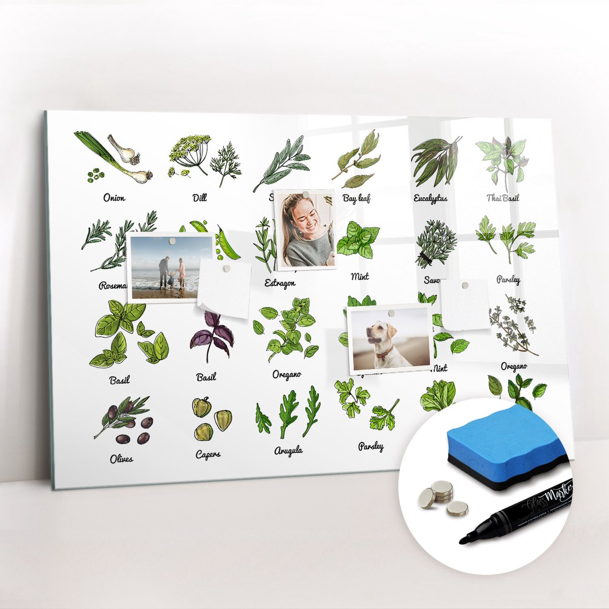 Tulup Whitebord - Soorten bomen - 90 x 60 cm - Groente Magneetbord Keuken - Gratis 5 Sterke Magneten + Whiteboard Marker & Wisser - Organizer Muur - Magneetbord Muur - Notitiebord Werkplek
