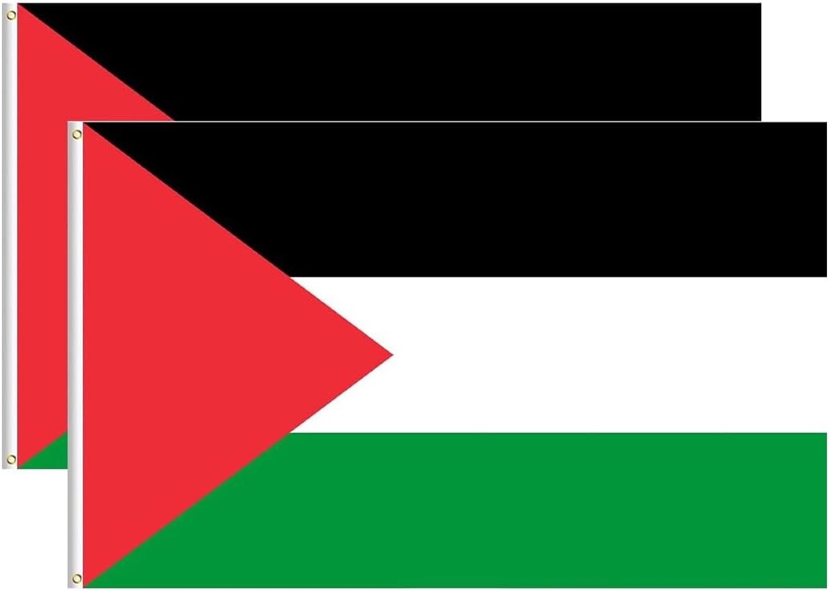 Palestinian Flag, 150 x 90 cm, Double Sided with Brass Eyes, Bright Color, Palestinian Flags, Fade Resistant, for - ShopVlot