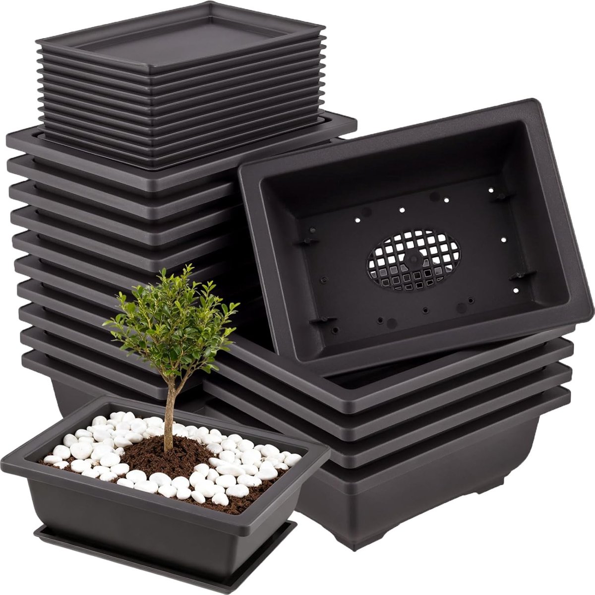 Bonsai Pot 15 cm - Rectangulaire Plastic Bonsaipot - Met Drainage - Ideaal voor Binnen en Buiten - ShopVlot