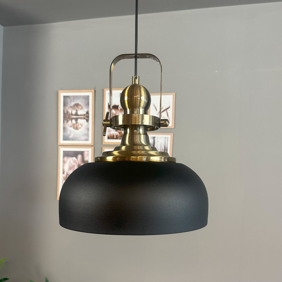 Bamyum Rocha hanglamp, industriële Modern stijl, Ø30 cm, zwart metalen lamp