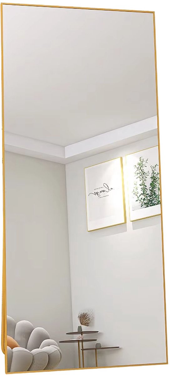 Staande Spiegel 165 x 60 Cm - Volledige Lengte HD Spiegel met Ophanghaken - Zwart Metalen Frame - voor Slaapkamer en Woonkamer
