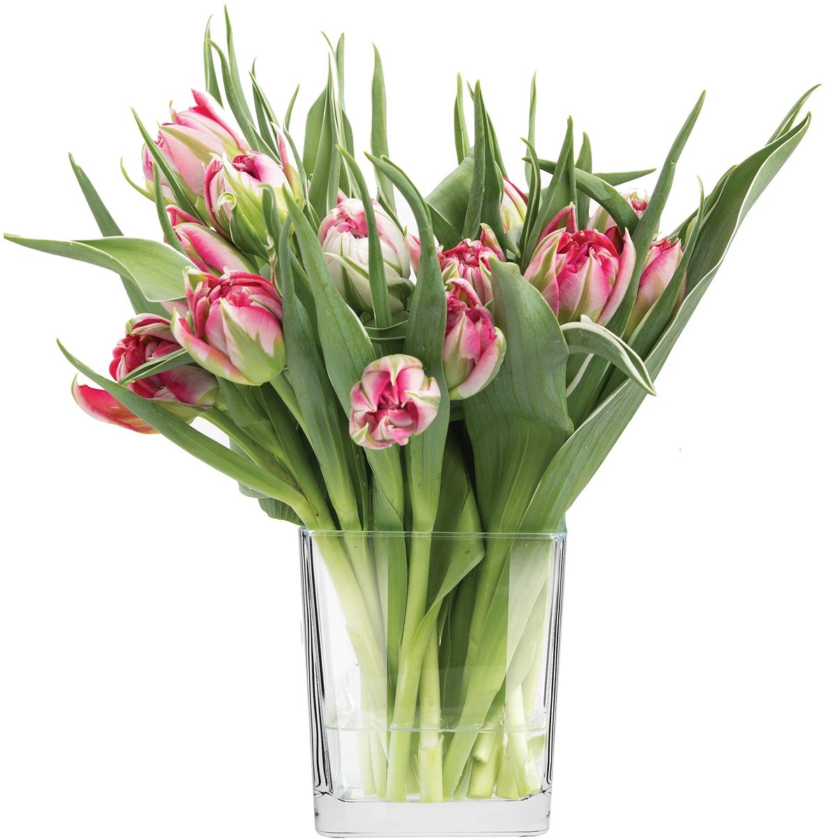 Omgoods - Transparante Glazen Vaasje voor Bloemen en Planten