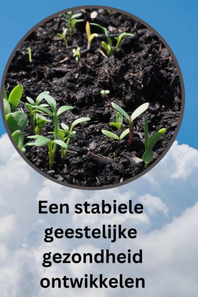 stabiele geestelijke gezondheid ontwikkelen: Emotionele veerkracht koesteren en Welzijn