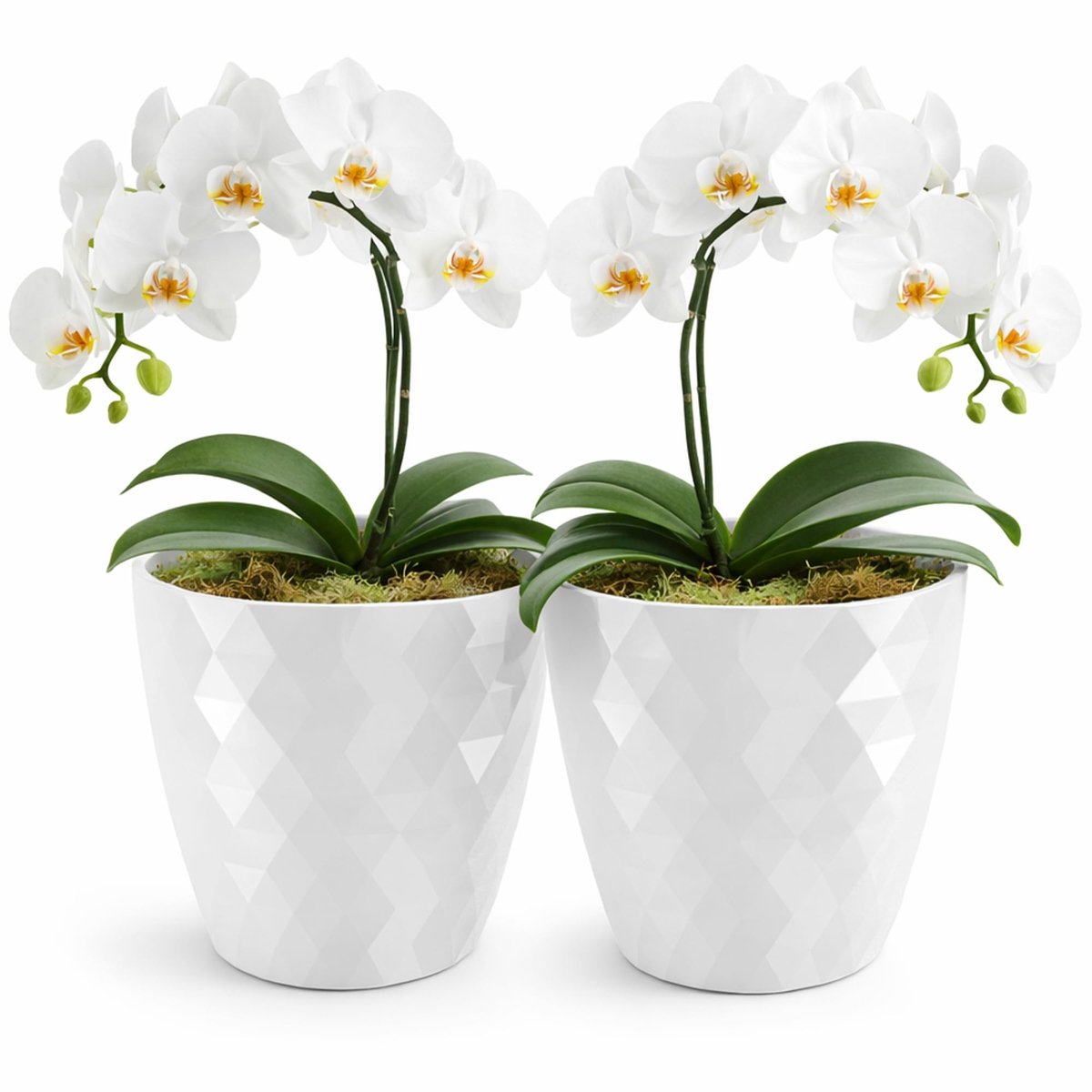 Omgoods - Set van 2 Decoratieve Bloempotten van Plastic, Diameter 20 cm
