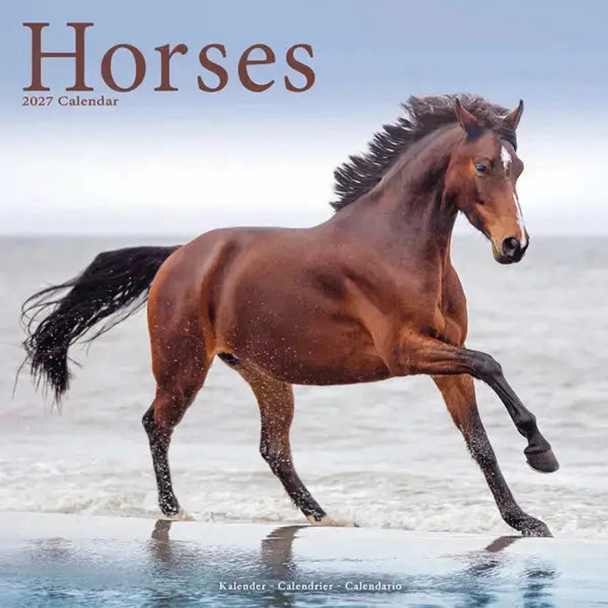 Paarden Kalender 2027