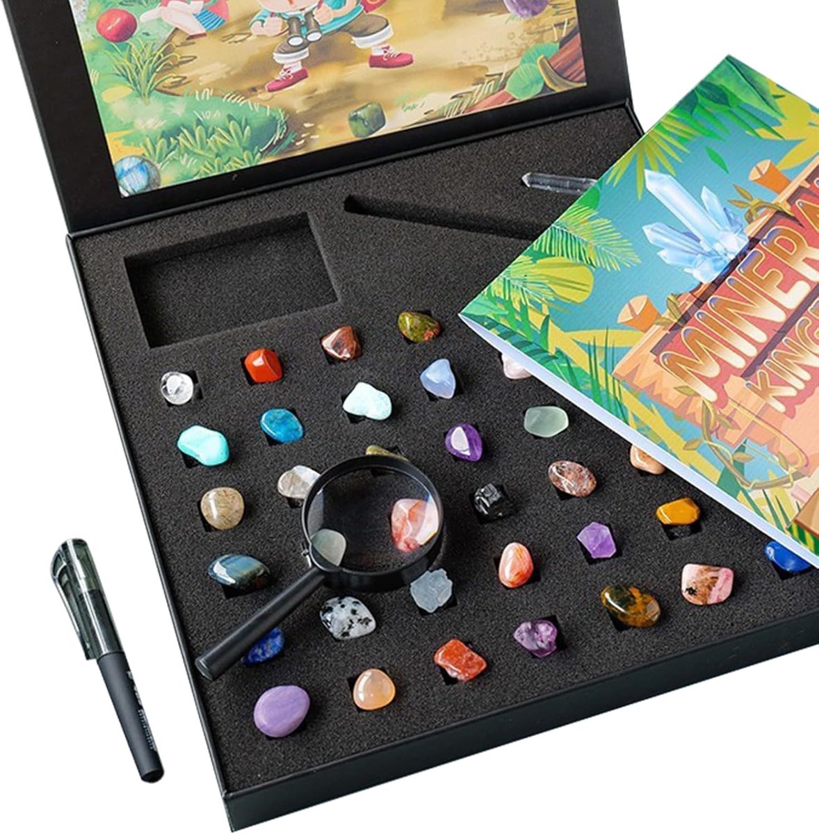 Kit voor liefhebbers van geologie | Rock Collection met minerale testgereedschappen, Crystal Geode Display & Vulkanische monsters | Beginner tot gevorderde monsters studie