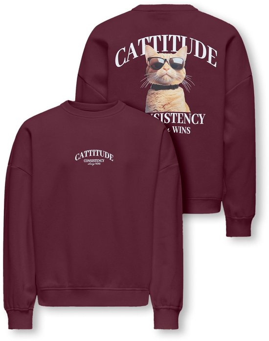 Set van twee wijnrode sweatshirts. Eén met opdruk op de borst en één met opdruk op de rug.