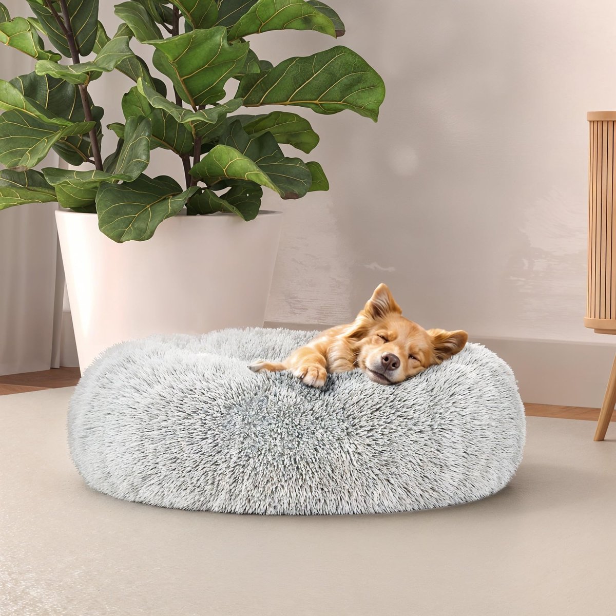 Omgoods - Zacht Honden- en Kattenslaapbed (50 x 50 cm) - Crème