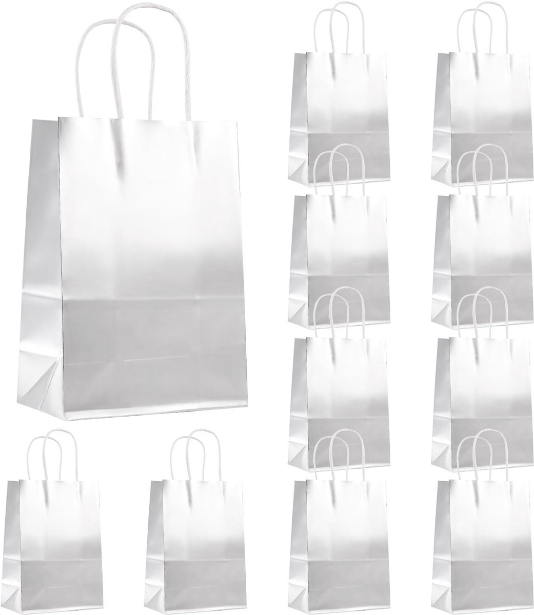 Omgoods - 12 Stuks Zilveren Cadeauzakjes Metallic Papieren Tassen met Handgrepen