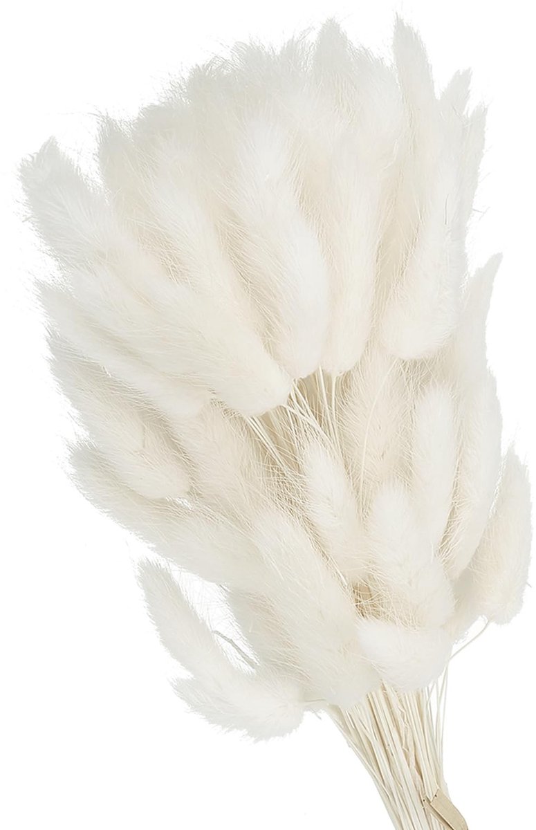 Omgoods - 120 Stuks Droogbloemen, Pampas Gras voor Bohemian Decoratie