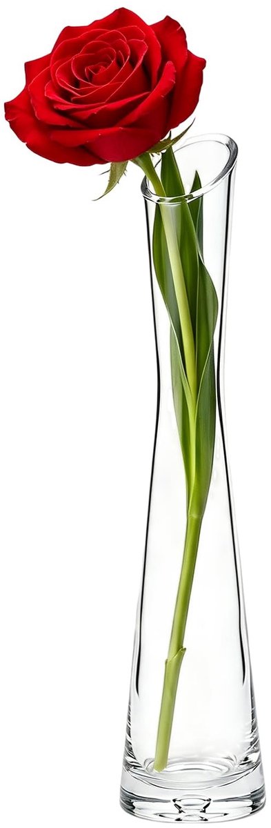 Omgoods - Handgemaakte Glazen Bloemenvase voor Één Steel
