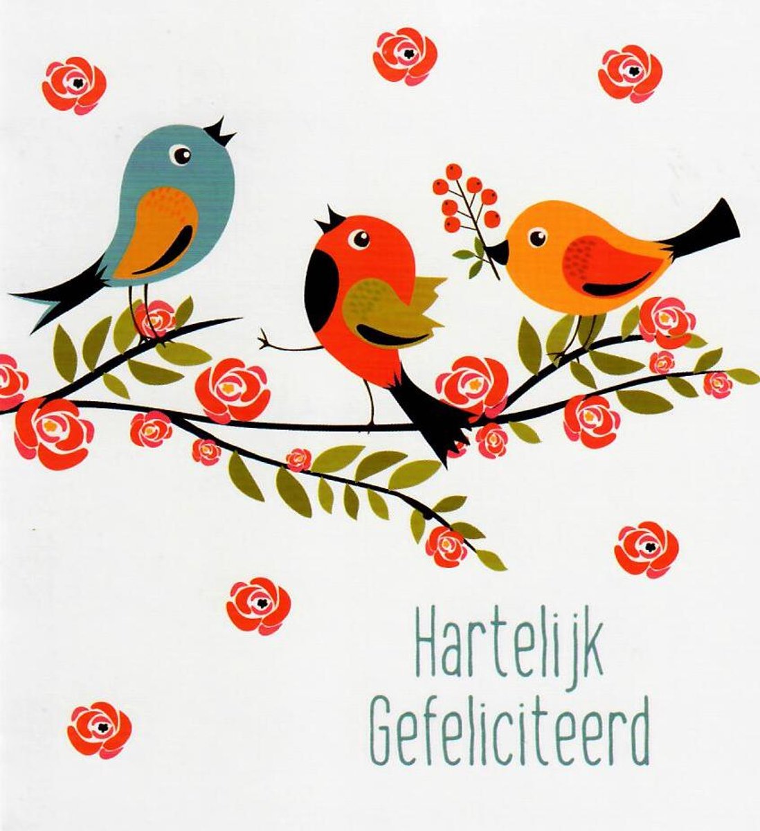 Verjaardagskaart dier | Wenskaart | 10 stuks | Hartelijk gefeliciteerd