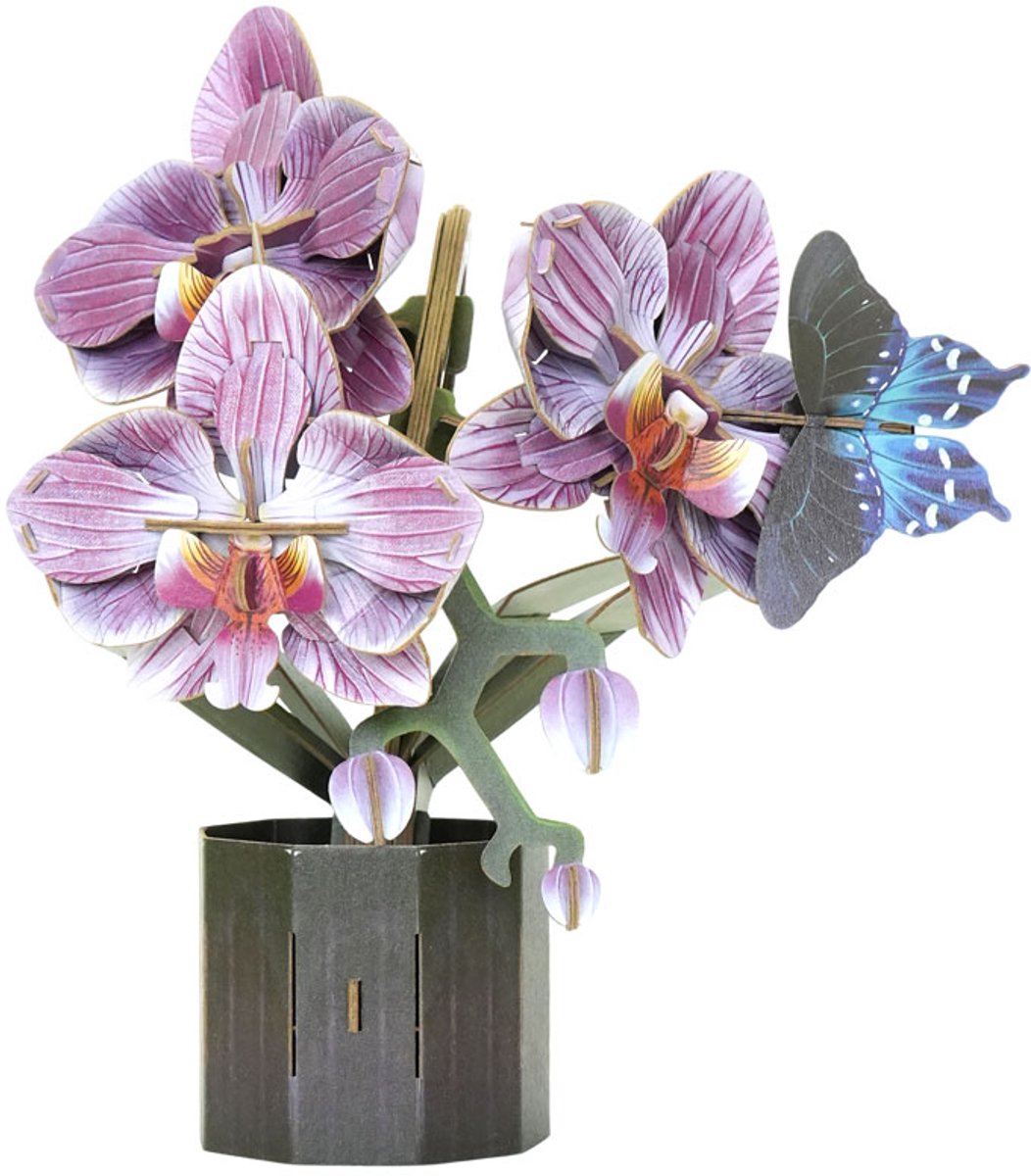 Makebug, 3D Modelbouwpakket, Bloem Orchidee met Vlindertje Pipevine Swallowtail, Flower, Moth Orchid, MB-D-0069