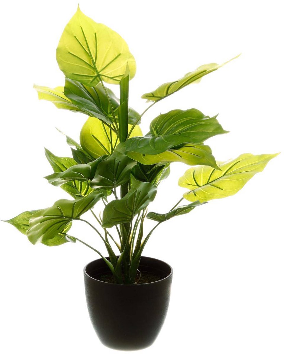 Kunstplant IMA