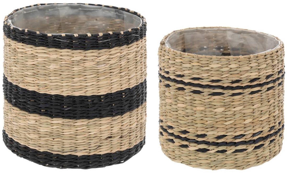 Set van 2 potten LUMIÈRE D'HIVER