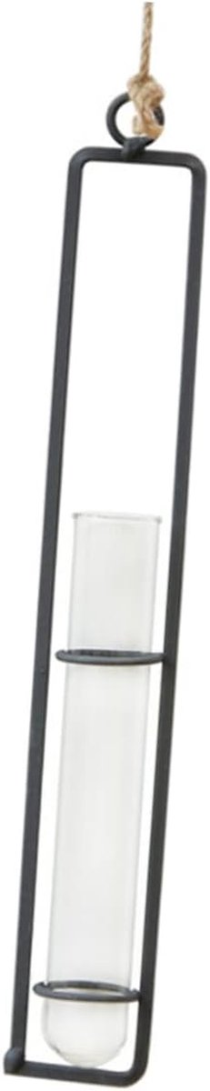 Hangende Plantenbak - Glazen Vaas - Decoratief Ophangen - Stevig IJzeren Frame - 32.5x4cm - Transparant