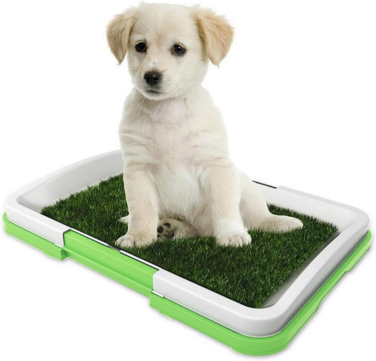 Hondenpotjes Grasonderlegger - Trainingsmat Puppy - Zindelijkheidstraining Binnen - Sneldrogende Drainagebasis - 46 x 34 cm - Groen
