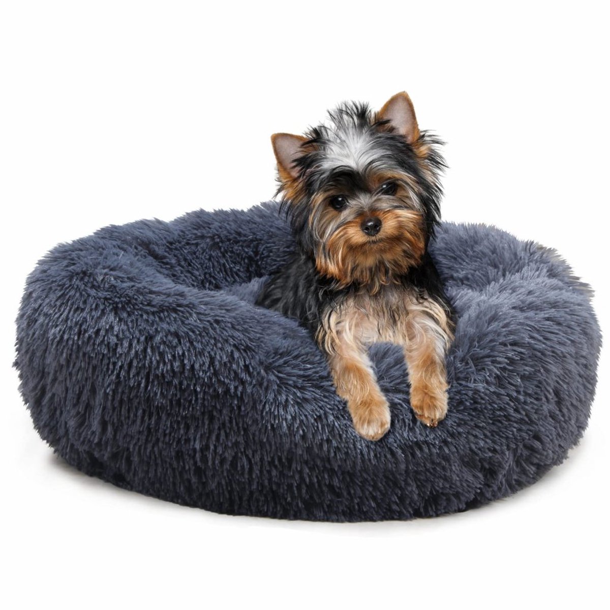 Dierenmand Jenny Donkergrijs, 3XL