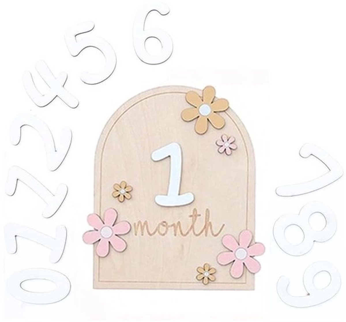 Solidchoice - Dailygoody - Baby Maandelijkse Mijlpaal Kaarten - Baby