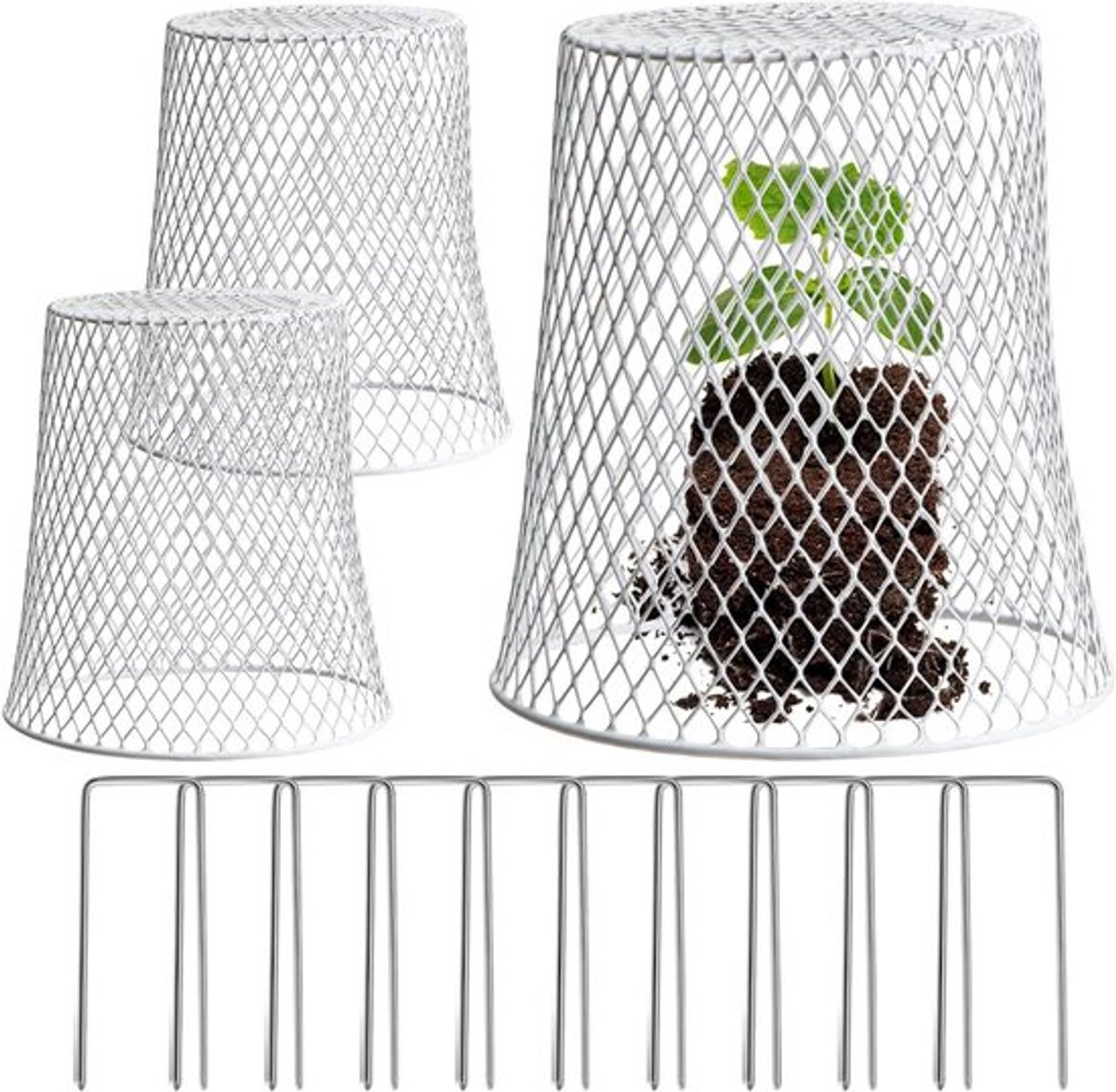 Plantkippengaas cloches - 3 stukken met tuinstakes
