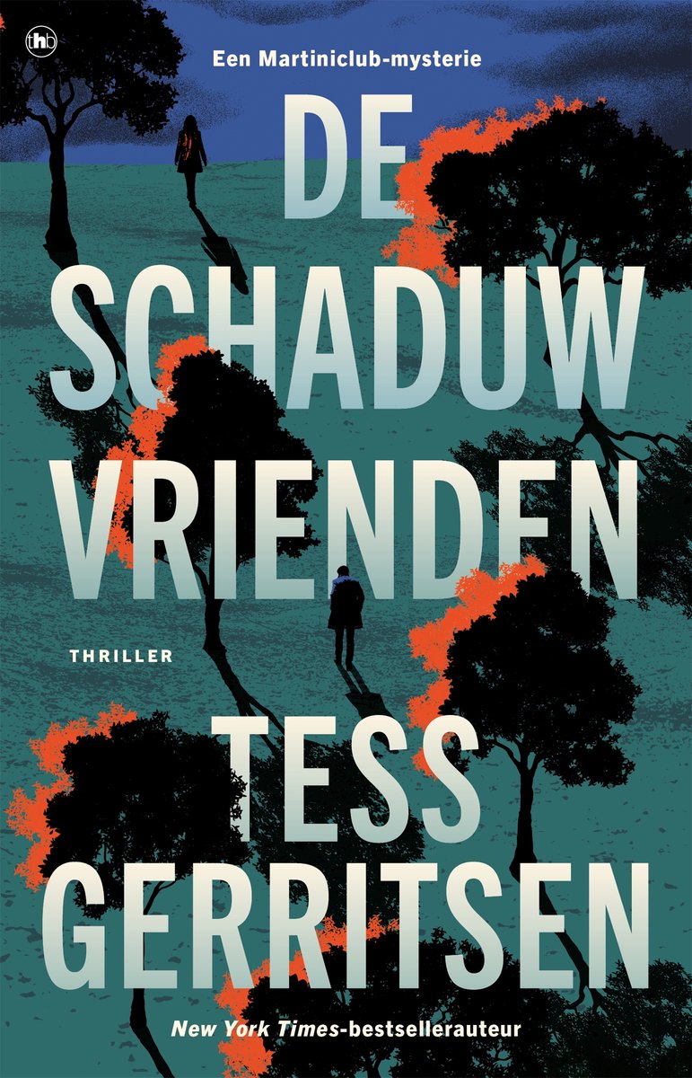 Omslag van De schaduwvrienden