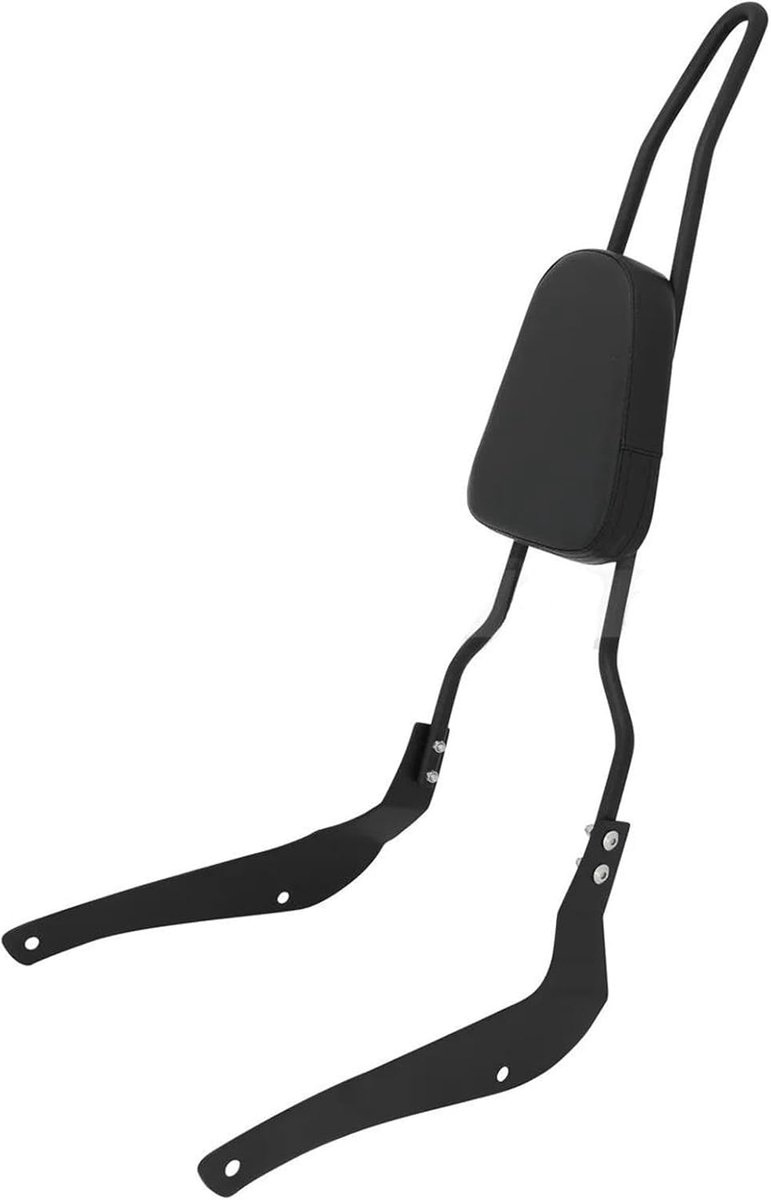Motorfiets Rugleuning - Passagierssteun - Comfortabel Reizen - Afneembaar Ontwerp - 262 kg - Zwart