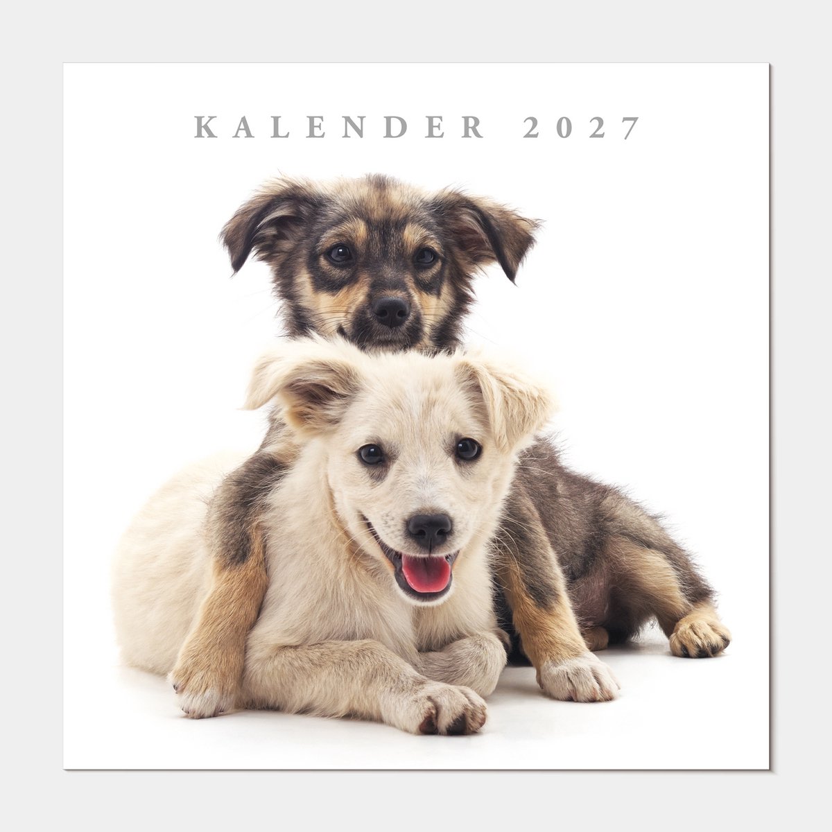 Hobbit - Jaarkalender 2027 - Maandplanner - 30x30cm - Honden