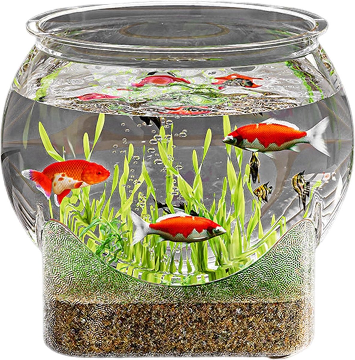Ronde Glazen Viskom - Desktop Aquarium voor Vissen of Planten - Panoramisch Zicht