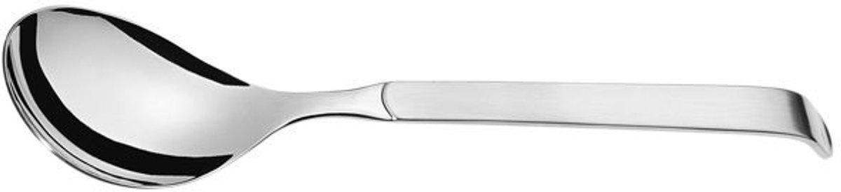 Amefa Horeca Buffet Slalepel Groot Sleeve
