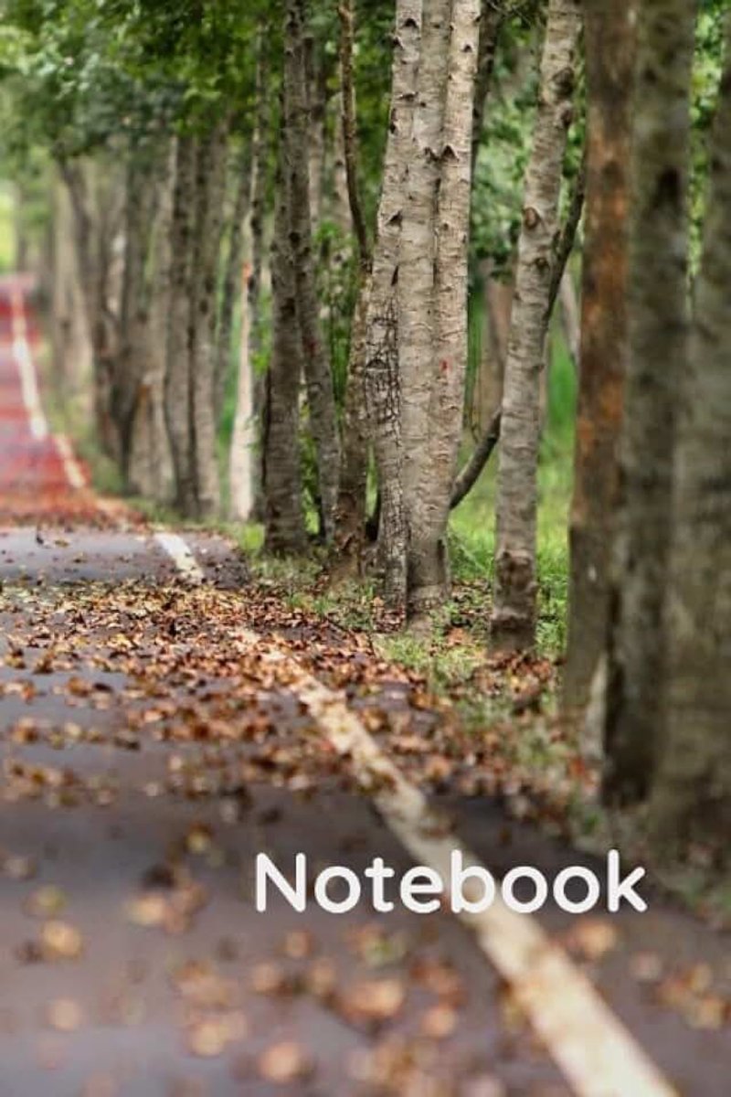 Paper Notebook: 6 x 9 Composition Notebook with 60 pages