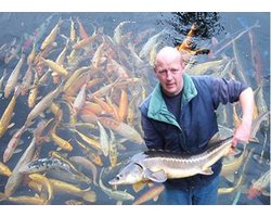 zinkend groeivoer voor steuren, kois en goudvissen 3 mm 2,5 kg, proteïnegehalte 40%- steurkorrels - visvoer - vissenvoer - vijvervoer - koikorrel – steurkorrels - voer - koikarper – goudvis -korrels - intensiv - Coppens - Premium Select