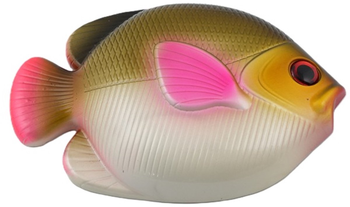 Best Divers Duiklood Vis | Loodgewicht voor Duikgordel | 1 kg | Black Top