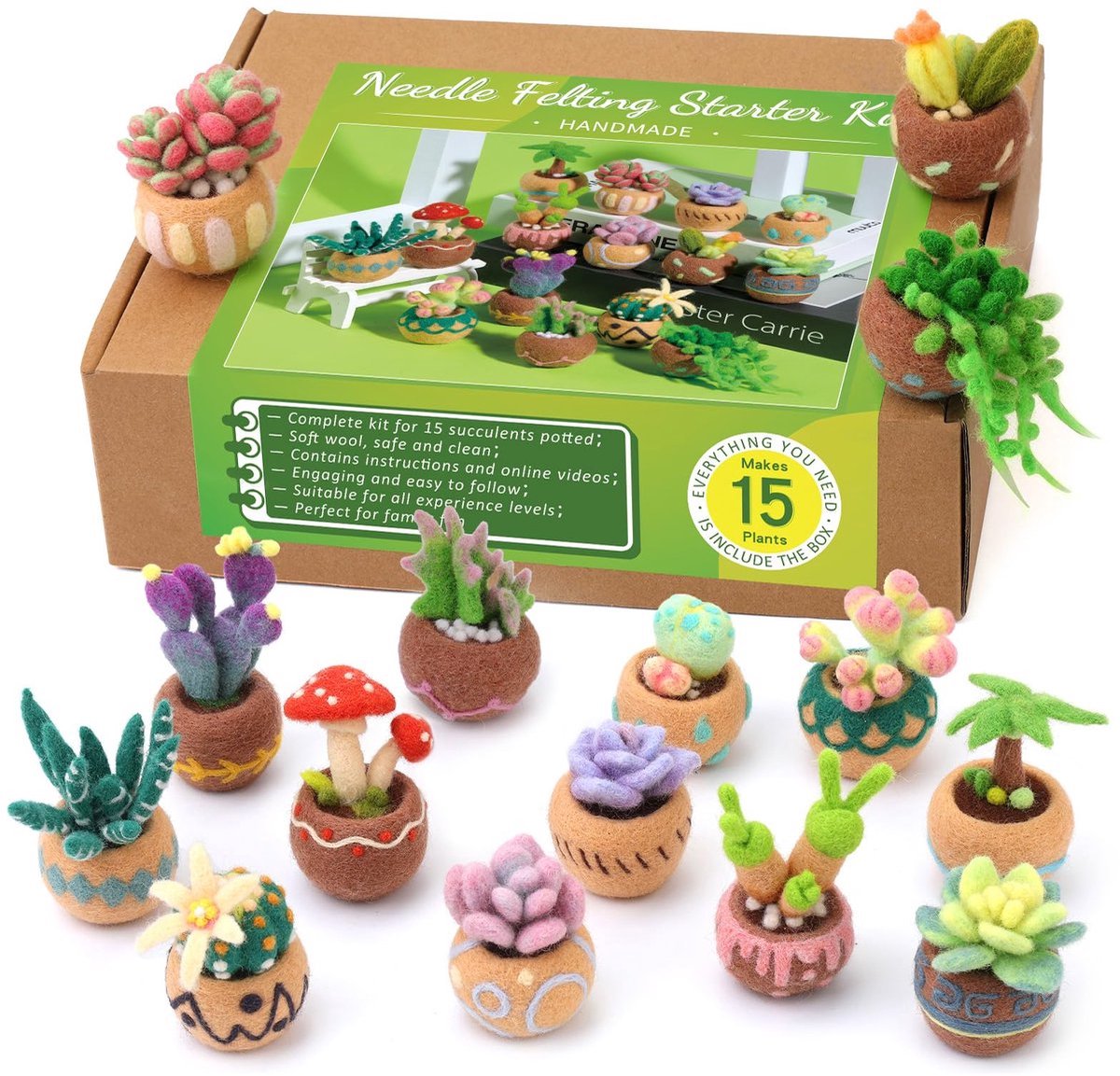 Casalora Punch Needle - Naaldviltpakket voor Beginners - 15 Vetplanten - Complete DIY Starterset met Wol en Viltnaalden