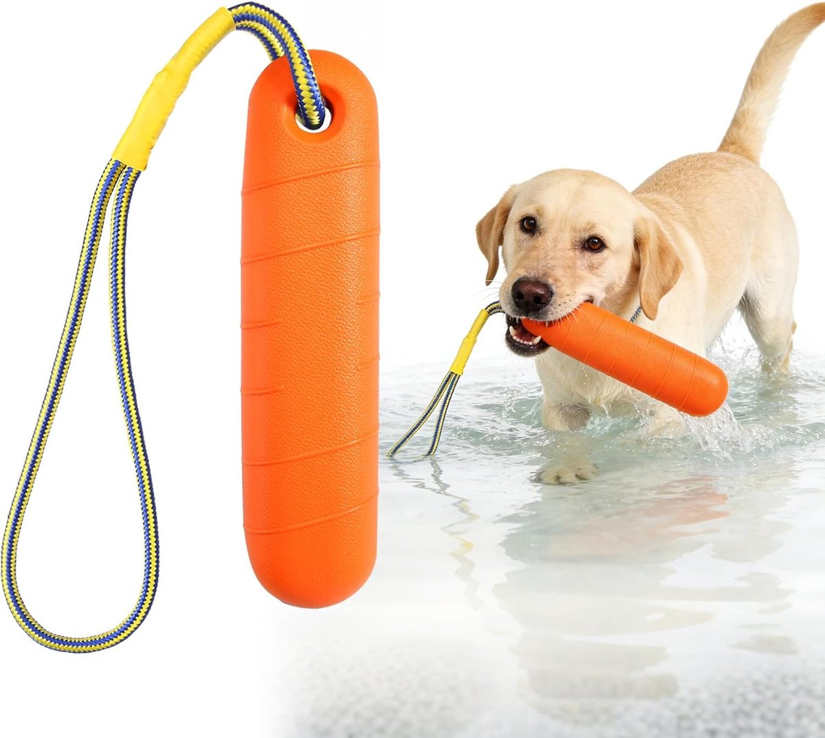 Drijvend hondenspeelgoed, 22 cm, interactief hondenspeelgoed met nylon touw, zwemspeelgoed voor honden, oranje