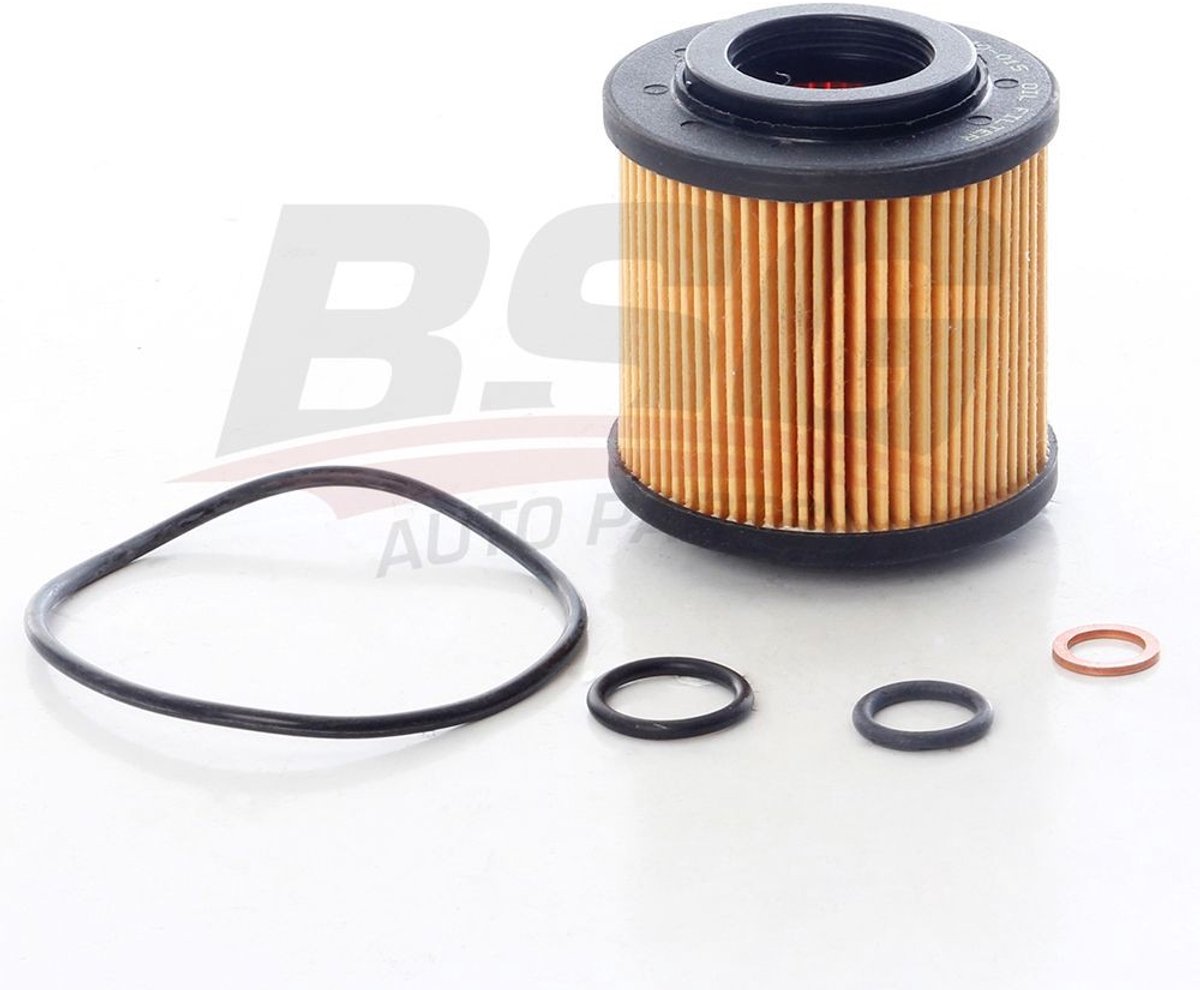 BSG Oliefilter 15-140-015 voor BMW 1 Serie E81 E87 E88 3 Serie E46 E90 E91 E92 E93 5 Serie E60 E61 X1 E84 X3 E83 Z4 E85 316i 318i 320i 323i 520i | OEM 11427508969, 11427501676, 11427619319, 11427530668, 11427619232