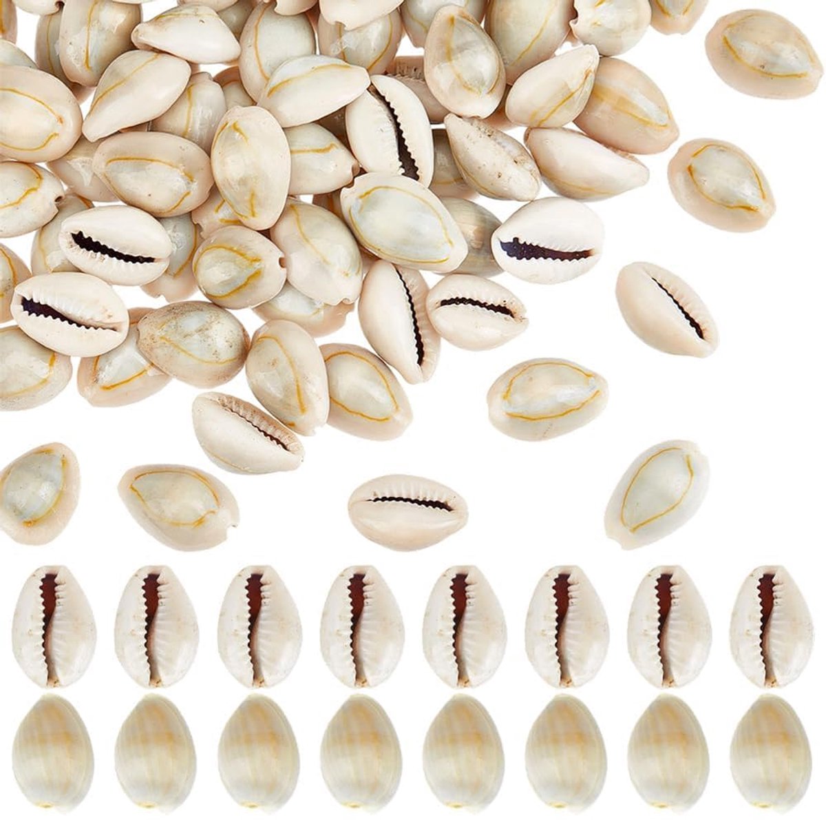 PandaHall 100 stuks natuurlijke kauri zeeschelpen, 20 mm ringtop cowrie schelp oceaan strand schelpen kleine ambachtelijke cowries ornament voor doe-het-zelf ambachtelijke zomerfeest tafelhoed