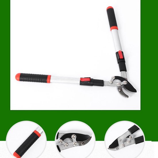 Telescopische snoeischaar - Voor het handmatig snoeien van takken en bladeren - Papegaaienbekvormig blad - Tuinschaar - 51-72 cm - Antislip handgreep - Geschikt voor het snoeien van takken van verschillende diktes - Rood — afbeelding 5