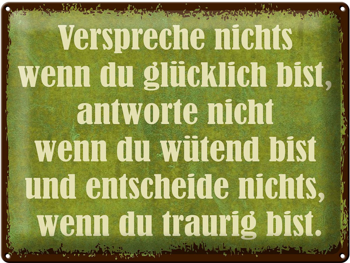 Blechschild Spruch 30x40 cm verspreche nichts wenn du glücklich bist Schild