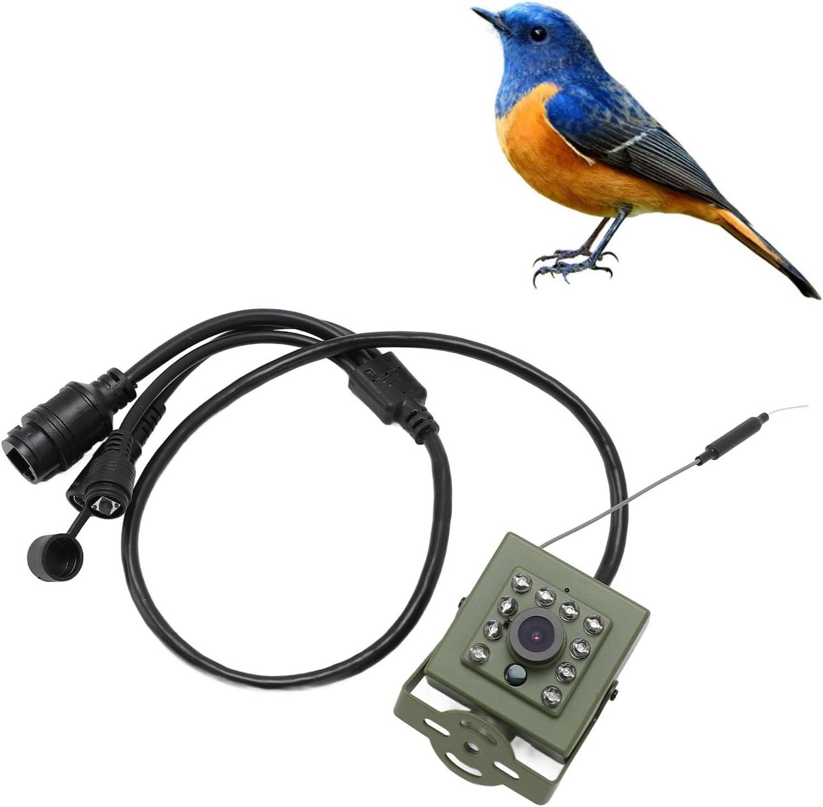 Vogelcamera Outdoor - Draadloze camera - Vogels observeren - Groothoek infrarood - 12 x 8 x 7 cm - Zwart