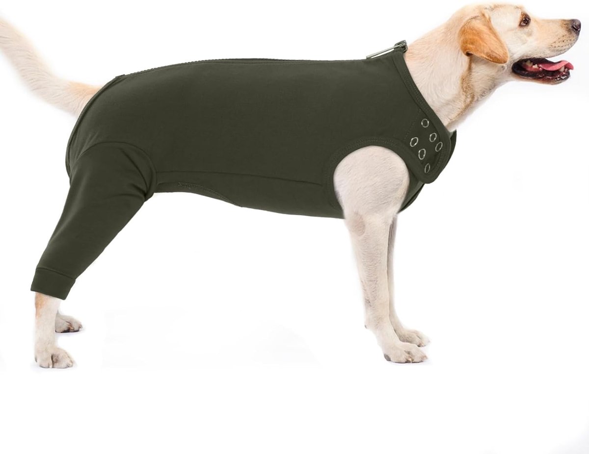 Bodysuit voor honden na operatie, likbescherming, lichaam na operatie, beenbescherming, honden, achterpoten, achterbeenbeschermers, ligbescherming voor honden, herstelpak, hondenbody met ritssluiting