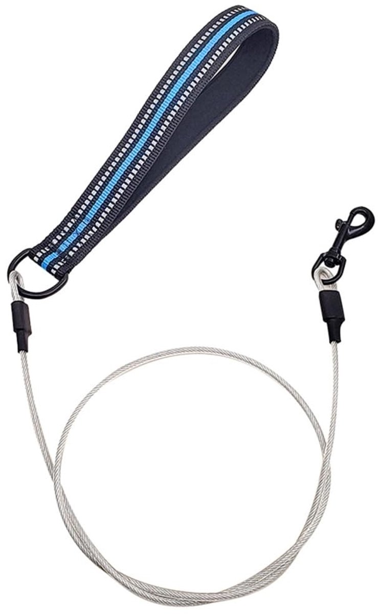 Dailygoods- Hondenriem Schokbestendig - Hondenlijn 1.2 meter - Reflecterend - Gewatteerd Handvat - Geschikt voor Kleine/Middelgrote/Grote Honden