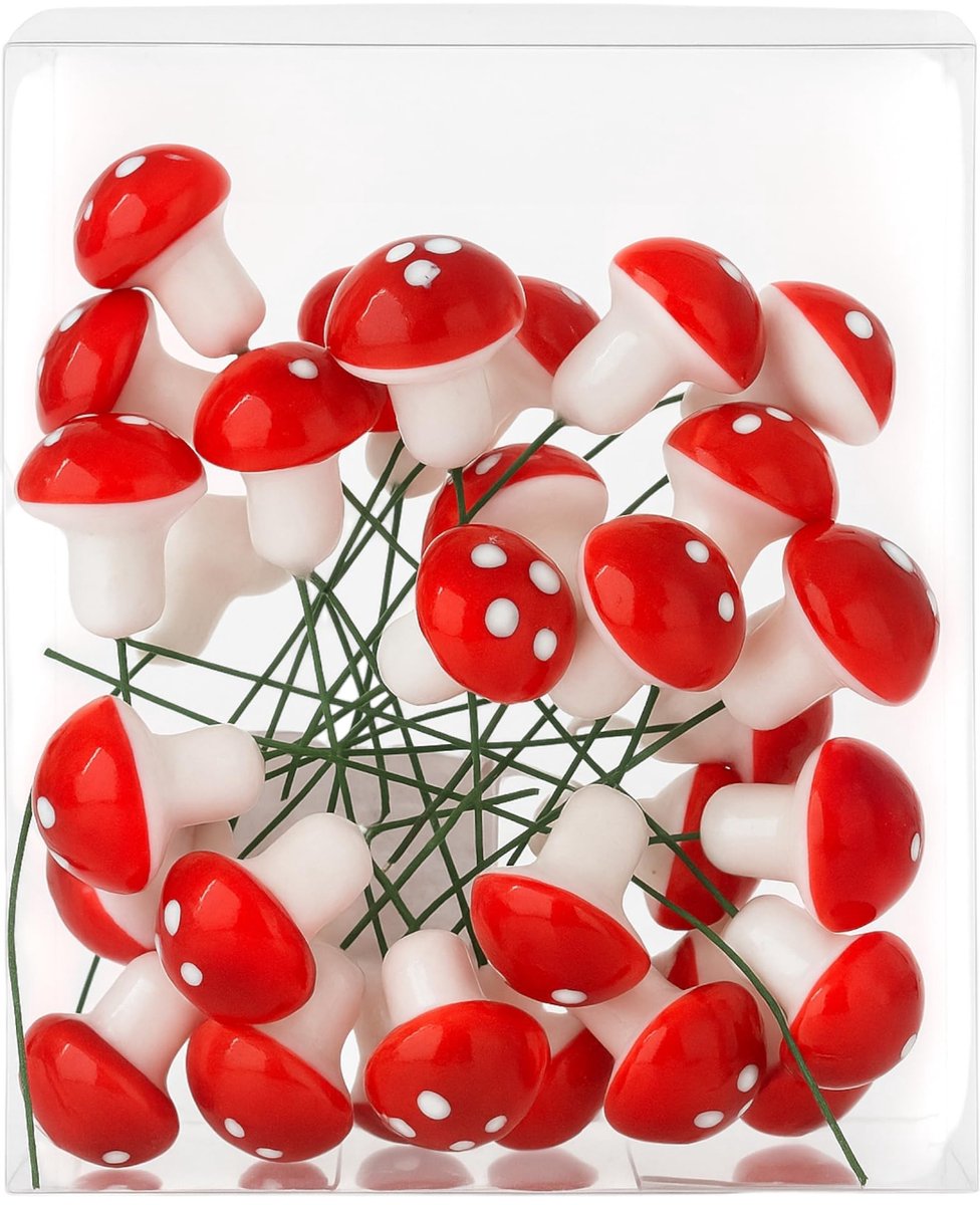 Dailygoods- Vliegenzwammen 30-delige set - Kerstdecoratie - Paddenstoeldecoratie - Knutselaccessoires - Rood-wit - Creatieve details