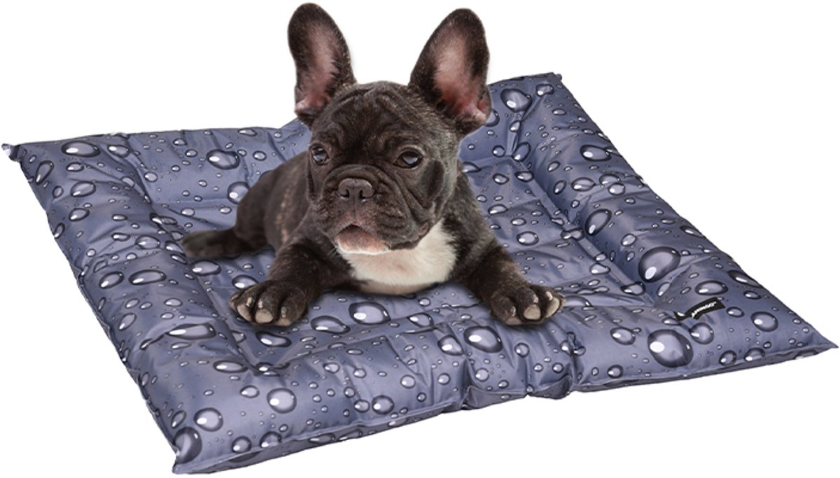cocapet - Cooling Bed - koelkussen - verkoelend kussen voor honden en katten - 56 x 66 cm - drop-grijs - waterafstotend - veilige gel - een must in de hete dagen