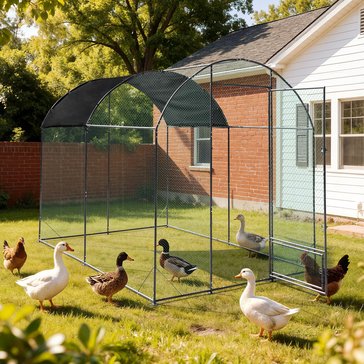 BingoPaw Grote Kippenren met Waterdicht Oxford Dekzeil